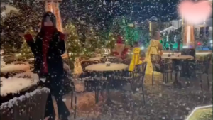 Snowflake Machine Stage Snow Spray Snow Maker Floating Snow Christmas Snow