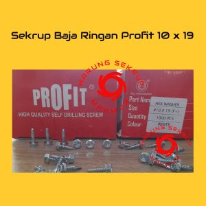 (100 pcs) Skrup Sekrup Baja Ringan Roofing Profit 10x19