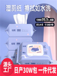 Soft Wet Wipes for Women Pregnant Women Elderly Adults 3 Large Packs Butt Wipes Tear-Off Packaged Hygienic Toilet Paper