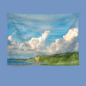 วิคามา ผ้าแขวนผนังสไตล์ญี่ปุ่น ตกแต่งหัวเตียงห้องนอน ตกแต่งผนังหอพัก ตกแต่งผนังพื้นหลัง