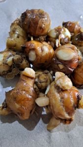 KENCUR / CIKUR SEGAR Hot promo hanya Rp 39.900/kg