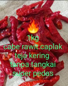 HEMAT ( 1kg ) cabe/cengek rawit teja caplak kering super pedas tanpa tangkai