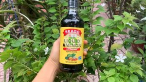 Nước Tương Đậu Nành BRAGG Liquid Aminos Soy Seasoning Gluten Free 473ml