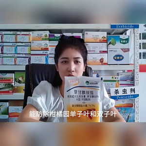 2Packs 68% glyphosate Shengbang Green Root Root Destroy orchard Miscellaneous Herbicide 除草剂