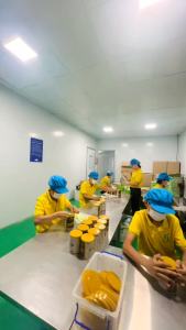 Tinh bột nghệ vàng Trung Huy foods hộp 500g củ nghệ bột nghệ hỗ trợ người đau dạ dày đẹp da