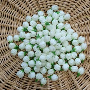 ดอกมะลิ ดอกมะลิวันแม่ ดอกมะลิบาน ดอกมะลิตูม หัวดอกมะลิ มะลิผ้า