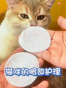 Cat Smart Pet Wet Wipes | Eye & Body Wipes for Cats & Dogs | No Rinse | 80PCS/150PCS