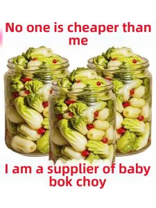 Fresh Crisp Traditional Pickled Vegetables