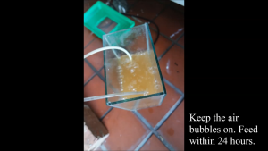 Pro-Feed Baby Brine Shrimp 40g