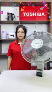 Quạt treo Toshiba F-WSA20(H)VN - Có điều khiển - Hàng chính hãng bảo hành 12 tháng - Hỏa tốc 2H HCM