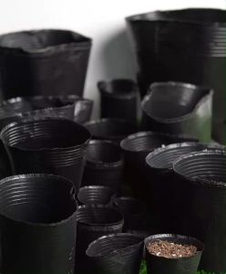 กระถางต้น สีดำ กระถางต้นไม้พลาสติกสีดำ กระถางปลูกบอน กระถางปลูกต้นไม้ ทรงกลมสีดำ 1/10+3/20/50/100pcs