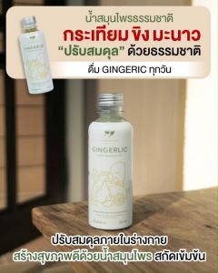 GINGERLIC (2 ขวด) 2 in 1 น้ำกระเทียมสกัดเข้มข้น น้ำสมุนไพรสกัดเย็น 2 in 1 ระดับการแก้ปัญหา กระเทียม ขิง มะนาว น้ำแอปเปิ้ลไซเดอร์ เครื่องดื่มเพื่อสุขภาพ ปราศจากน้ำตาล