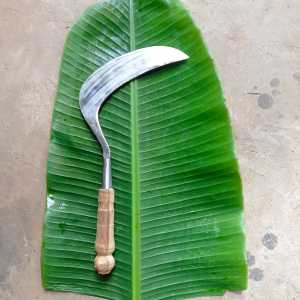 Alat Potong Rumput Baja Isen Asli Buatan Pandai Besi