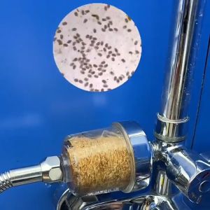 Water Purifier Filter Tap Universal PP Cotton for Bathroom Kitchen Sink Toilet Shower to Improve Water Quality Cleanses Water for Healthy Skin and Body Remove Scale and Rust Anti-corrosion Transparent Household Filter Cotton Removable Filter Accessories