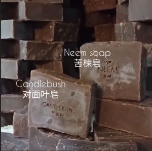 WILLOW Neem Soap 1pc antibacterial & acne & clear