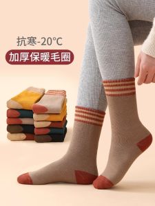 Tất Ống Dài Lót Lông Cừu Dày Dặn Cho Mùa Đông Cho Nữ Tất Ống Dài Màu Trơn Đơn Giản Cho Mùa Thu Đông Tất Cotton Pha Trộn