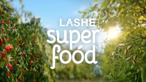 Combo Dầu Gội LASHE SUPERFOOD 640G + Dầu Xả LASHE SUPERFOOD 550G Ngăn Gãy Rụng Tóc / Phục Hồi Hư Tổn