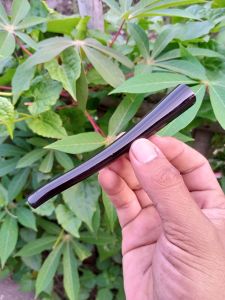 Piparokok kayu gali kelor hitam premium