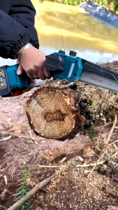 MKR 6 Inch Telescoping Pole Electric Chainsaw High Branch Saw Fruit Tree Shears Garden Pruning Tool