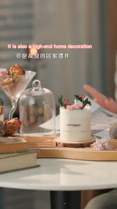 🇸🇬Kizyo 270g Flower Scented Candles Soy Wax Essential Oil Candle Gift Box Birthday/Mothers Day Gift/Party Gift