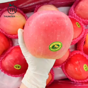 แอปเปิ้ลฟูจิ กล่องม่วง ตรานก เบอร์ 24-28 ผลใหญ่คัดเกรดพรีเมียม ผิวเนียนใส สีแดงอมชมพู หวานกรอบ อร่อยเต็มคำ น้ำหนัก 9 กก. ของพรีเมียมคุ้มค่าเกินราคา