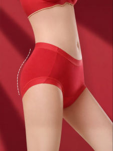 MiiOW | Antibacterial Red Lucky Year Embroidery Modal Ladies Underwear