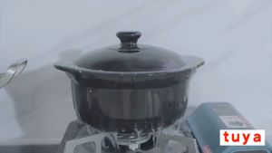 เครื่องตรวจจับแก๊สรั่ว Wi-Fi พร้อมลำโพง แจ้งเตือนผ่านแอปNatural Gas Alarm Sensor