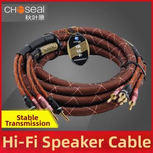 Choseal | Hi-Fi Banana Plug Speaker Wire