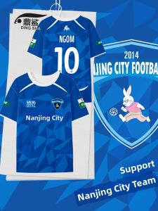 DINGSHA | Quick Drying Short Sleeve Player Edition Football Shirt