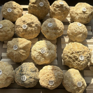 ขายส่ง Geodes ที่ยังไม่ได้เปิดอาเกตธรรมชาติ Geode จริงคริสตัลตัวอย่างประกอบด้วย Reiki ทําความสะอาดกลุ่มหินที่สวยงามเครื่องประดับของขวัญ