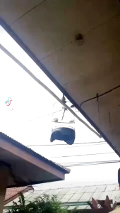 Suplemen Kenari Vit Gacor: Meningkatkan Kualitas Burung Anda