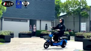 New Model Electric Bike LEM With Pedal Bicycle Scooter Signal Basket Online Offline Basikal Skuter Elektrik