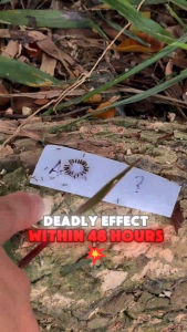 ARIKILLA Ant Liquid Bait Roach Gel Anti Ant Killer Bait Cockroach Lipas Umpan Ubat Semut Berkesan Racun Semut Berkesan