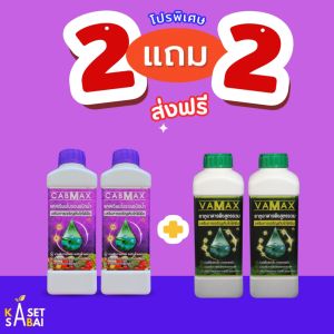 ซื้อ 2 แถม 2 (CABMAX แคลเซียมโบรอน + VAMAX ปุ๋ยธาตุรวม) ส่งฟรี ขึ้นทะเบียนจากกรมวิชาการเกษตร ชุด ทำ
