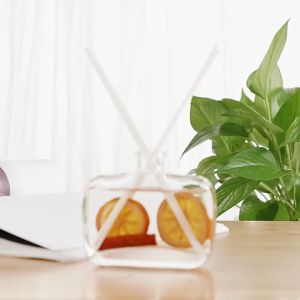 Tinh Dầu Khuếch Hương SCENTED-CHASE 200ml - FRAGRANCE 100ml Hương Tự Nhiên Thơm Phòng Thư Giãn Giảm Stress. Set Quà Tặng Lễ Tết Sinh Nhật