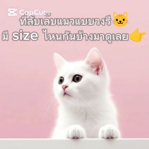 ที่ลับเล็บแมว อ่างลับเล็บ ทรงวงรี CATLOVE ของเล่นแมว ที่นอนแมว 2 in 1 แผ่นลับเล็บ ที่ฝนเล็บสัตว์เลี้ยง โรงงานคนไทยผลิตเอง ขายถูก คุณภาพดี แข็งแรง