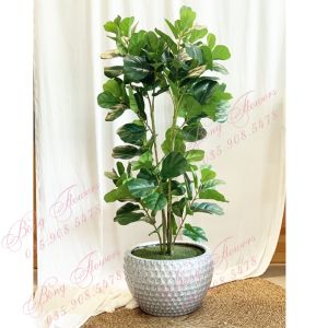 Cây bàng giả - Cây bàng singgarpore giả cảnh decor siêu xinh