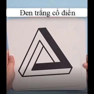 Thẻ đen trắng cho trẻ sơ sinh từ 0 - 36 tháng kích thích thị giác giáo dục sớm cho bé theo đuổi phát triển tiềm năng
