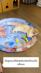 【KAGK】สัตว์เลี้ยงเสื่อน้ำ เตียงแมว 65/100cm ที่นอนเย็น เบาะน้ำพองลม เสื่อน้ําสําหรับแมวและสุนัขขนาดใหญ่พั ของเล่นแมว หนาขึ้น