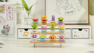 CNY Sales | KOCO Succulent Potted Plants 12pcs Assortments Series (KC010XX) Micro Mini Building Brick Full Set