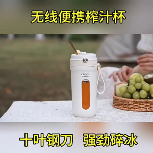 [SG Stock] Juicer Portable Fruit Blender Portable Extractor Blender USB Rechargeable 10 Blades 350ml