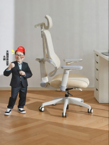 BOJOJAN | Ergonomic Back-following Office Chair