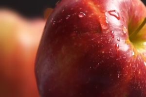 Fresh Fuji Red Apple 10pcs per pack Epal merah 10