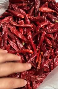 Ớt Quả Sấy Khô Cay Tê dùng nấu các món Tứ Xuyên Trùng Khánh