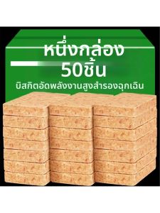 Emergency Ration Compressed Biscuits