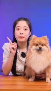 Viên sữa dê bổ sung canxi cho chó mèo Dr. CPC