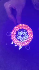 [CHUI CẮM ZIN] Mạch hậu Appi cho Sirius