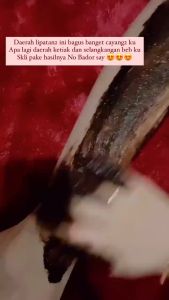 LULUR VELLSBEAUTY ORIGINAL LULUR BEDDA LOTONG VELLSBEAUTY LULUR BEDDA LOTONG ORIGINAL