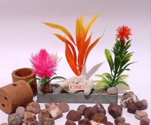 tanaman hias aquarium batu nanas ping.1pc