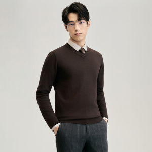 Autumn New Mens V-Neck Wool Sweater